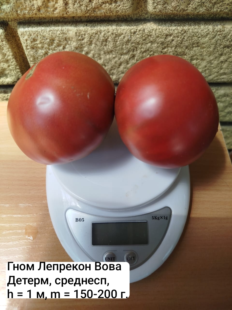 Семена коллекционных томатов Гном Лепрекон Вова ( 10 шт)