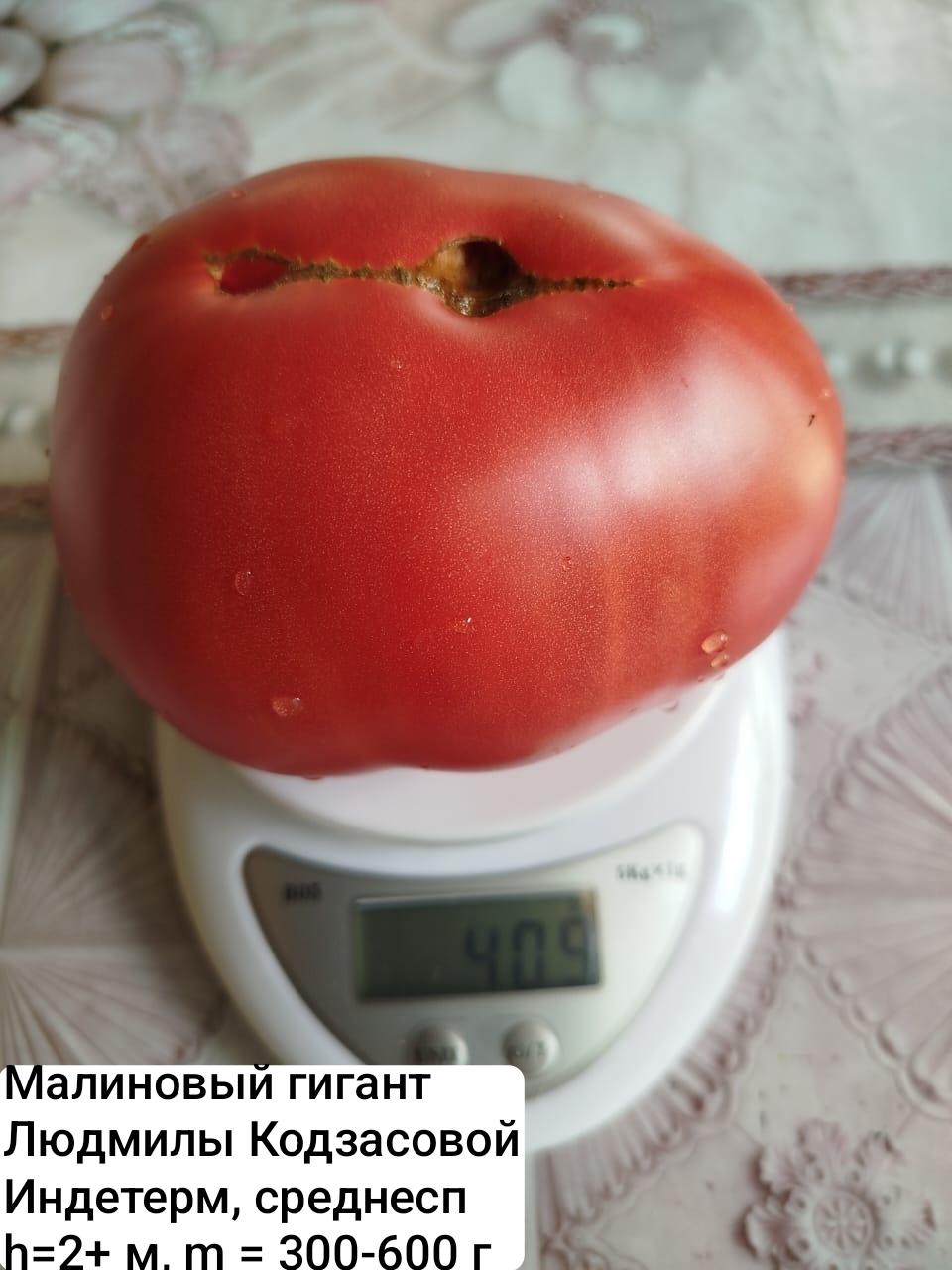 Семена  коллекционных томатов Малиновый гигант Людмилы Кодзасовой (10 шт)